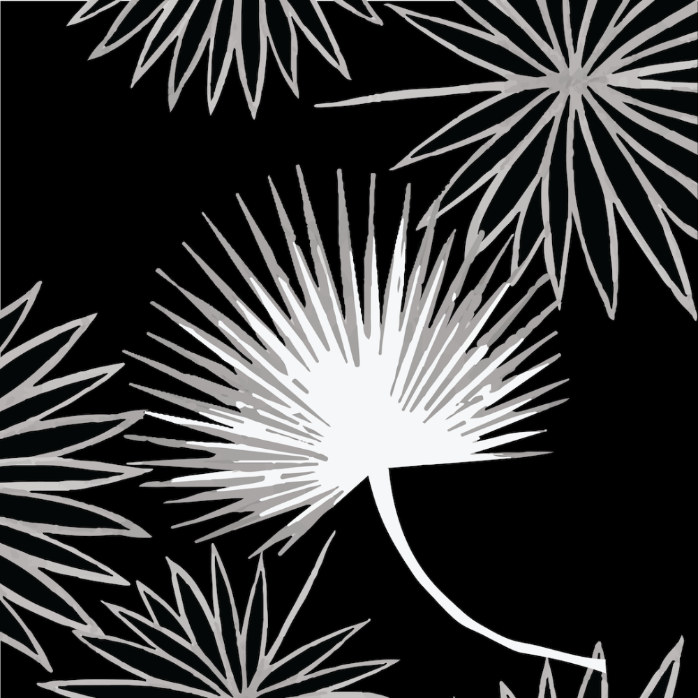 Cabbage Palm - Black Floral Wallpaper by Bohemian Bungalow