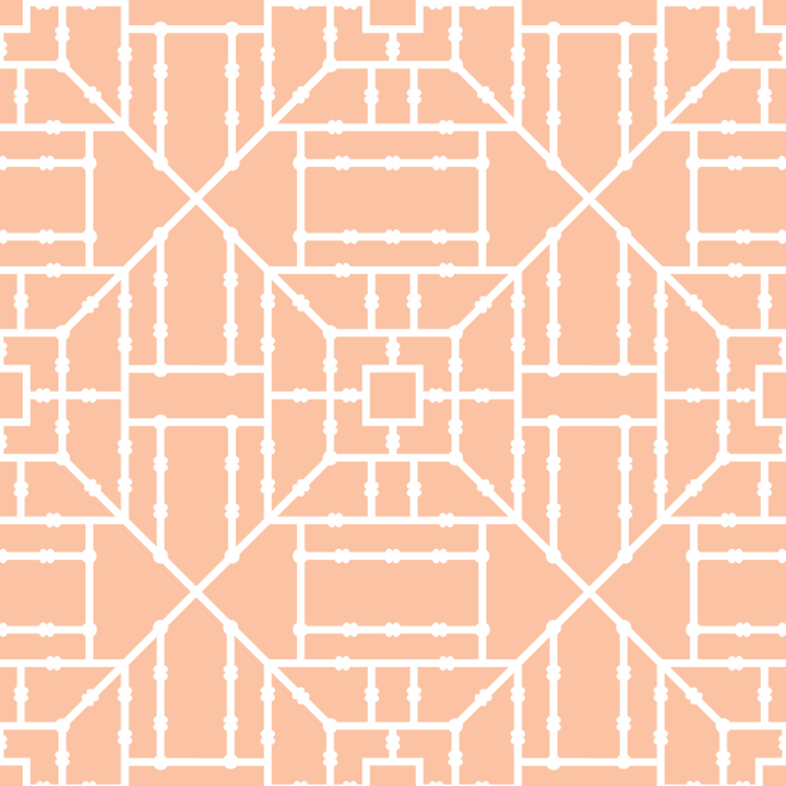 Bamboo Trellis - Coral Wallpaper by The Blush Label