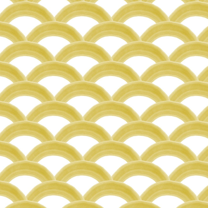 Rainbows - Golden Wallpaper