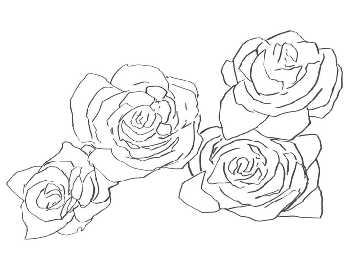 Desert Rose - Black Sketch Wall Mural