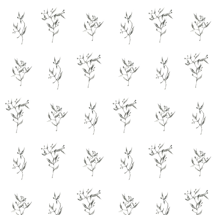 Olive Branch