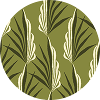 Areca Palm - Green Leaf Wallpaper