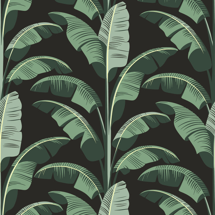 Banana Leaf - Black Green Wallpaper