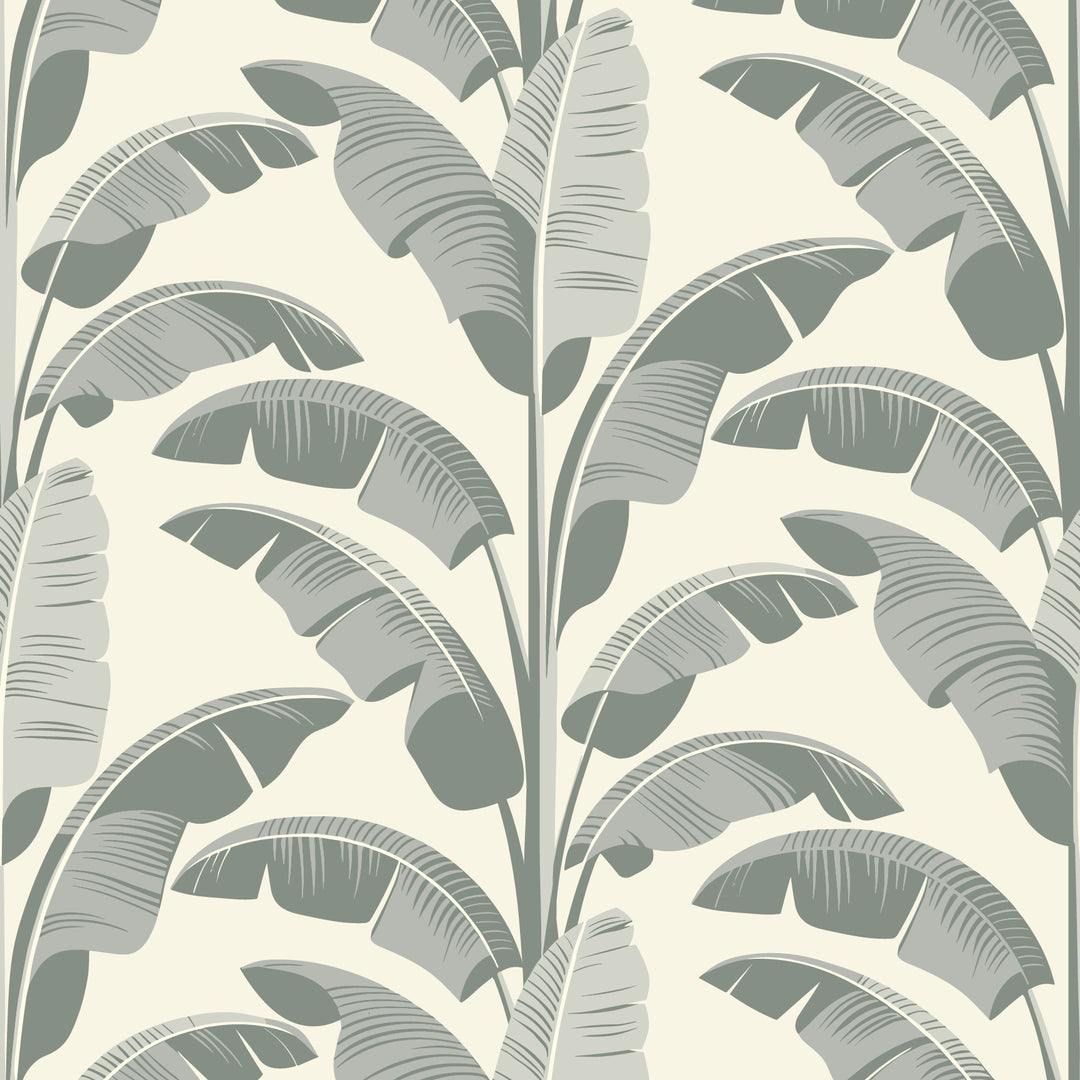 Banana Leaf - Sage Gray Wallpaper