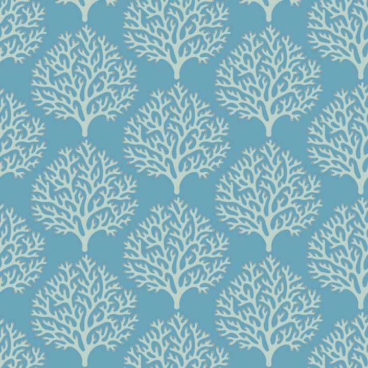Beach Coral - Sanibel Blue Wallpaper