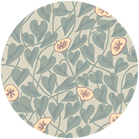 Climbing Vine - Hazy Blue Wallpaper