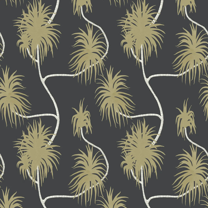 Dragon Tree - Midnight Sun Wallpaper