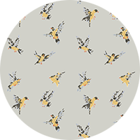 Flight of the Finches - Sketchpad White Wallpaper