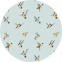 Flight of the Finches - Sketchpad White Wallpaper