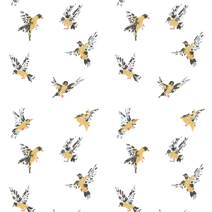 Flight of the Finches - Sketchpad White Wallpaper