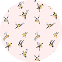 Flight of the Finches - Sunbleached Pink Wallpaper