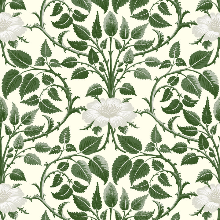 Garden Vine - Ivy Green Botanical Wallpaper