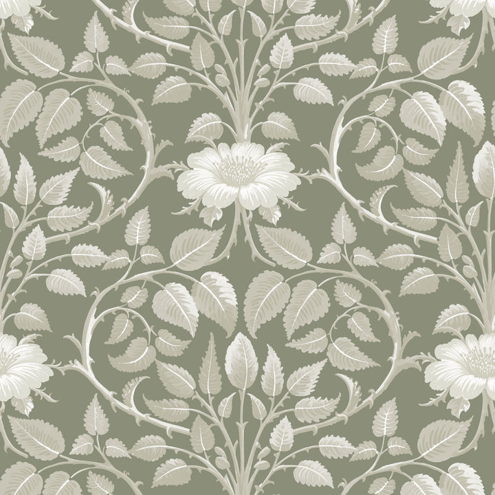 Garden Vine - Silver Moss Botanical Wallpaper