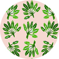 Little Palms Floral Wallpaper by The Blush Label