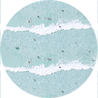 Ocean Swimmers Wallpaper by Gray Malin