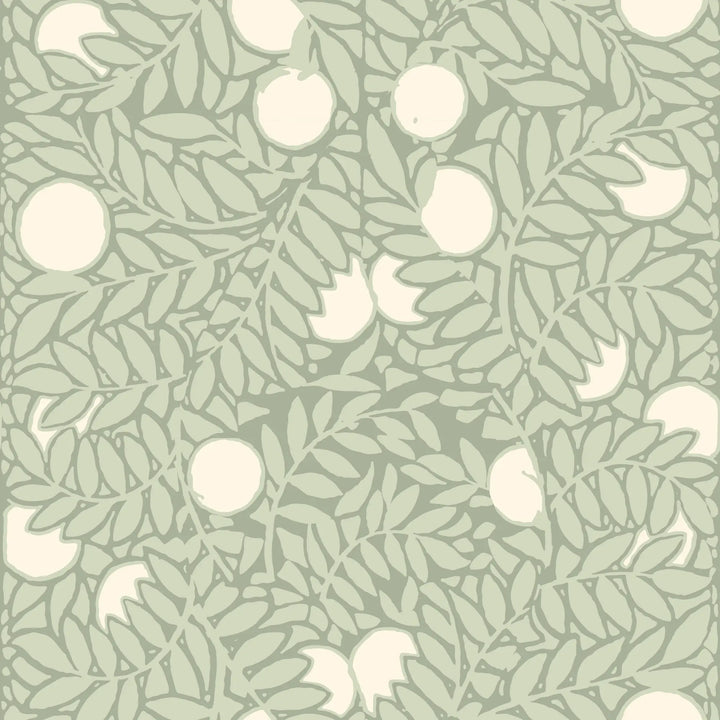 Orange Grove - Pale Green Floral Wallpaper