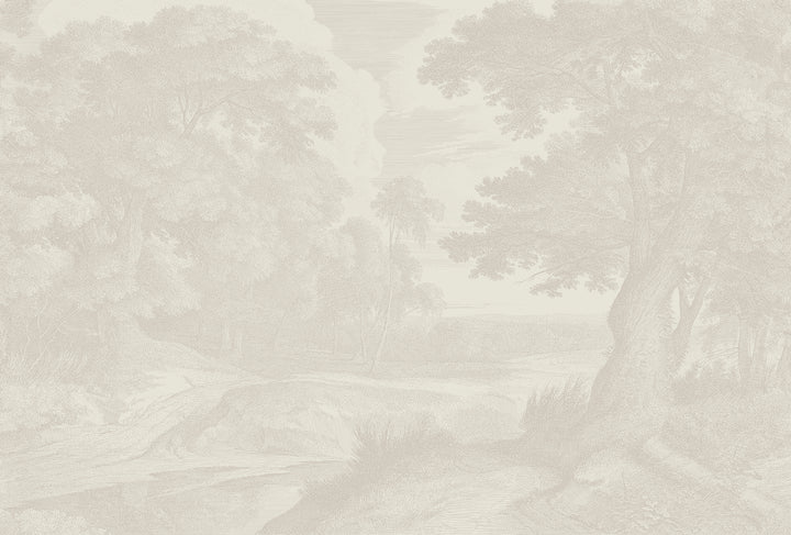 Edge of a Wood Wall Mural - Shell Tint