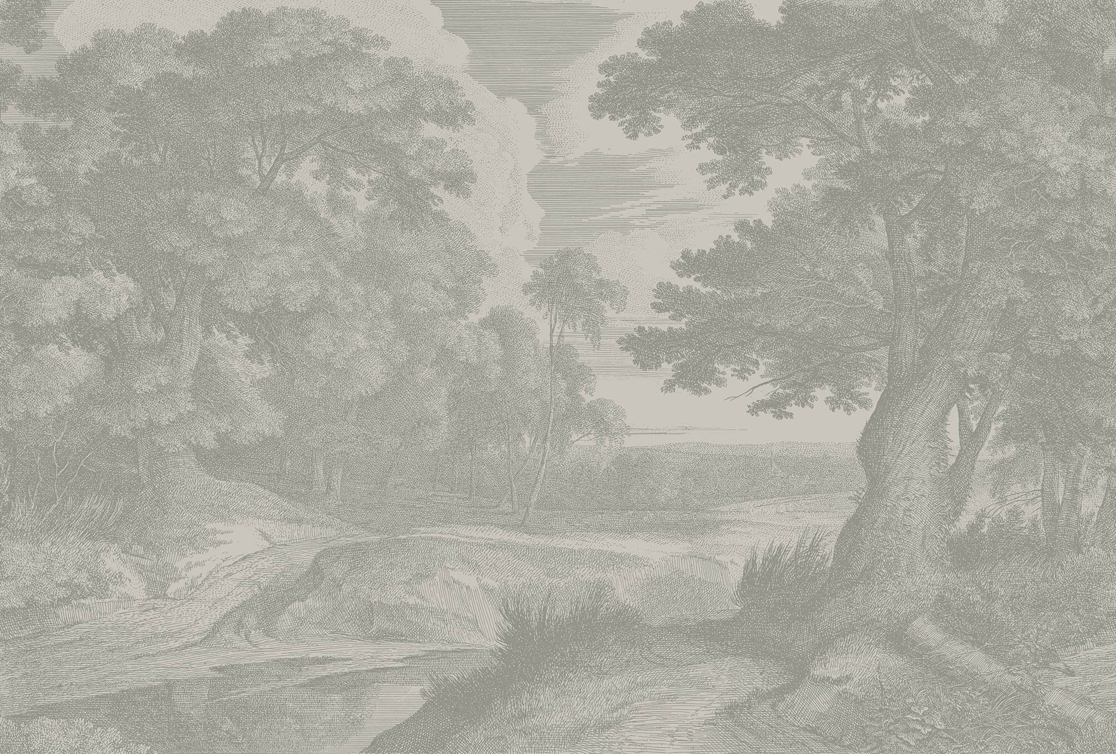 Edge of a Wood Wall Mural - Walnut