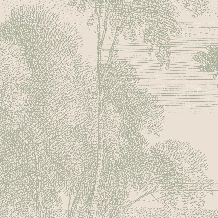 Edge of a Wood Wall Mural - Parchment Sage