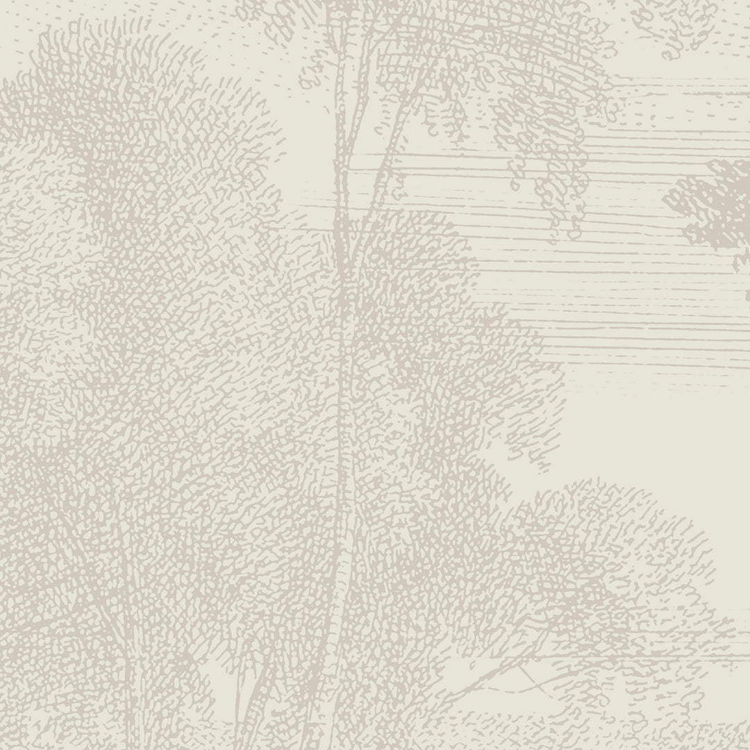 Edge of a Wood Wall Mural - Shell Tint