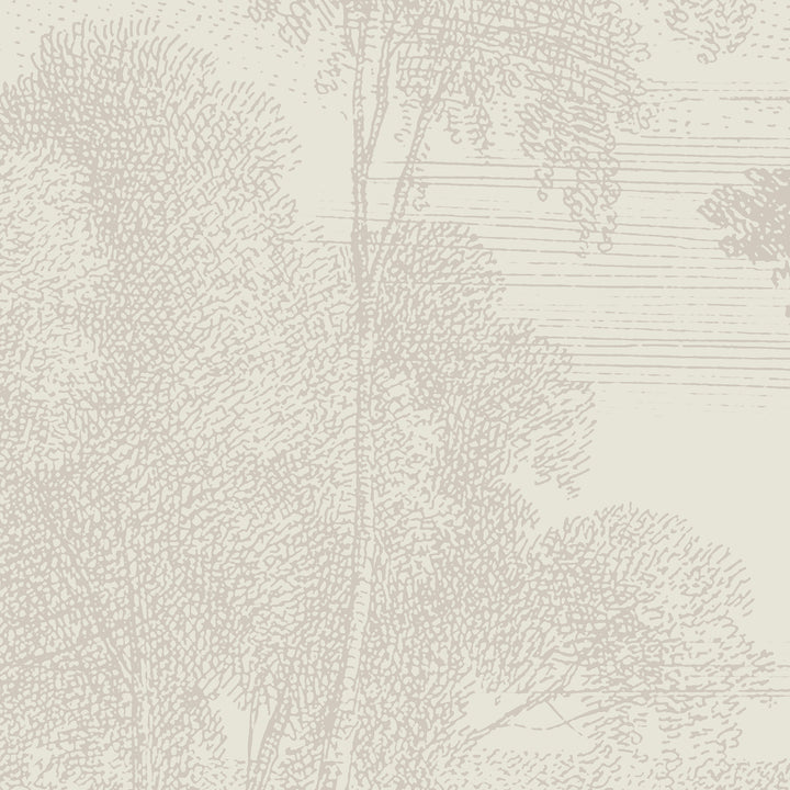 Edge of a Wood Wall Mural - Shell Tint