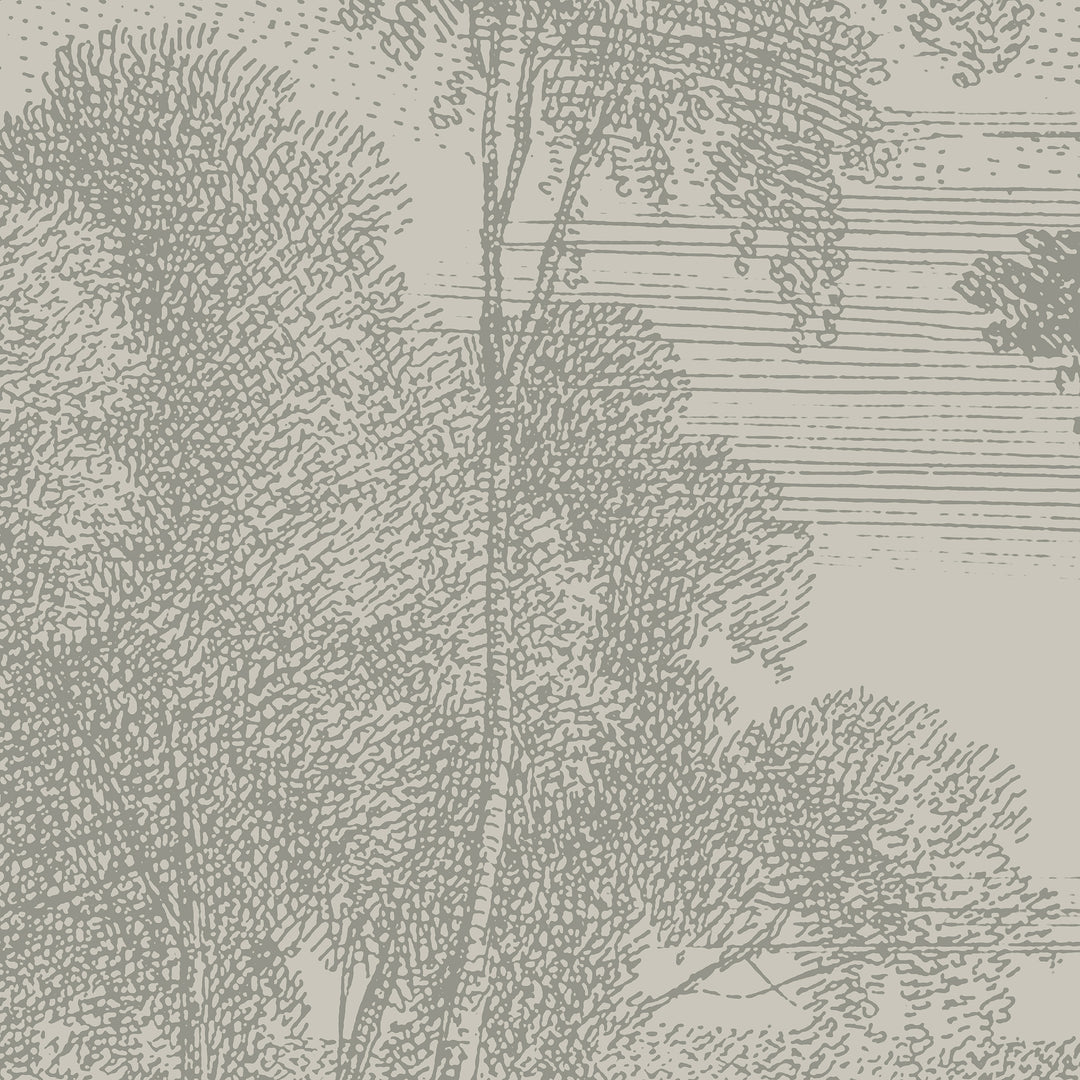 Edge of a Wood Wall Mural - Walnut