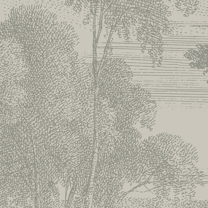 Edge of a Wood Wall Mural - Walnut