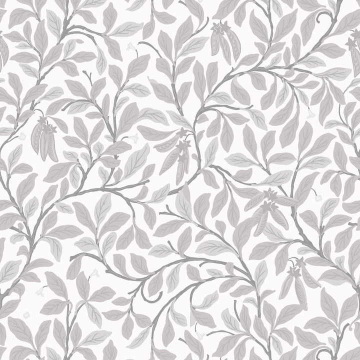 Leaf and Pod - Graphite Wallpaper