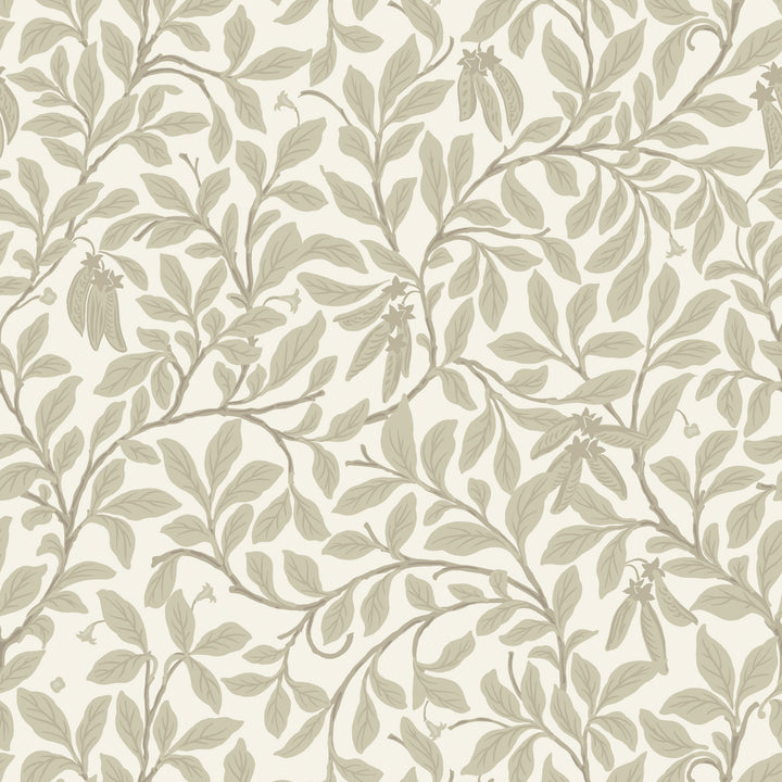 Leaf and Pod - Linen Wallpaper