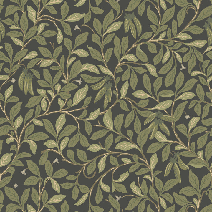 Leaf and Pod - Midnight Wallpaper