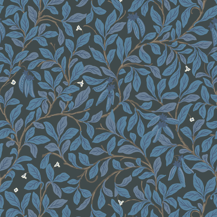 Leaf and Pod - Nocturne Wallpaper