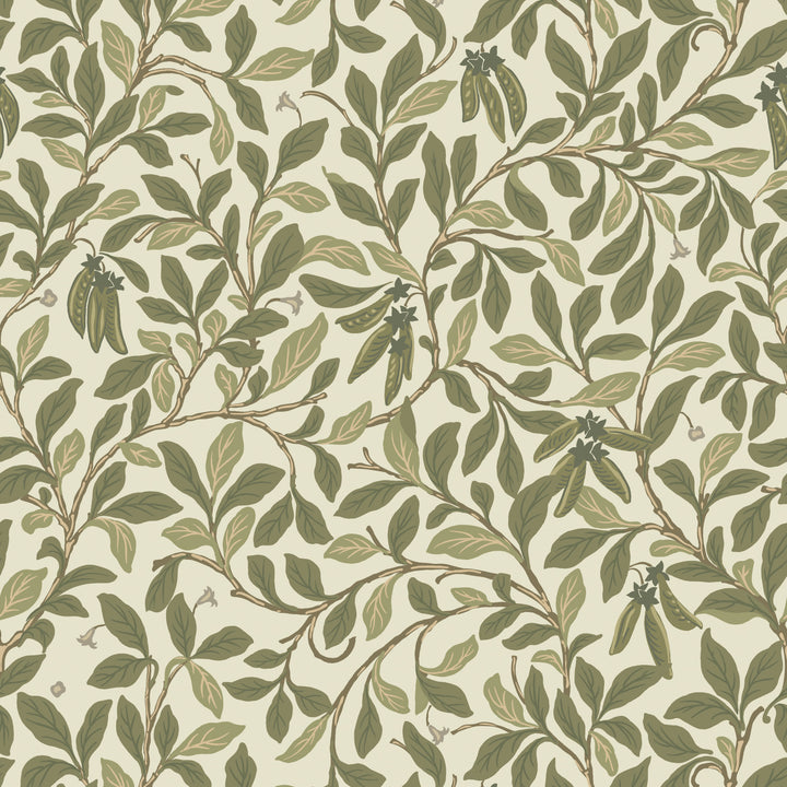 Leaf and Pod - Taupe Green Wallpaper