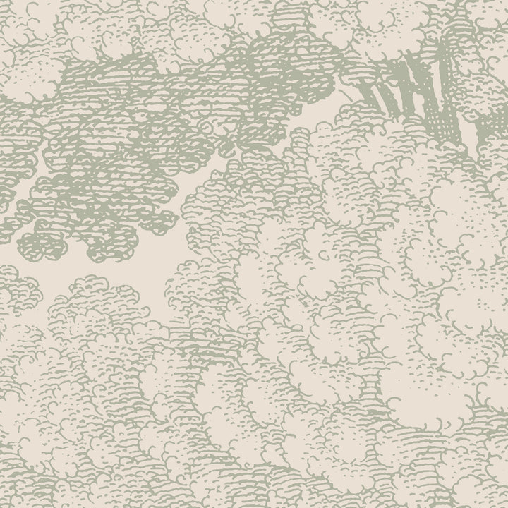 Mineral Spring Wall Mural - Parchment Sage