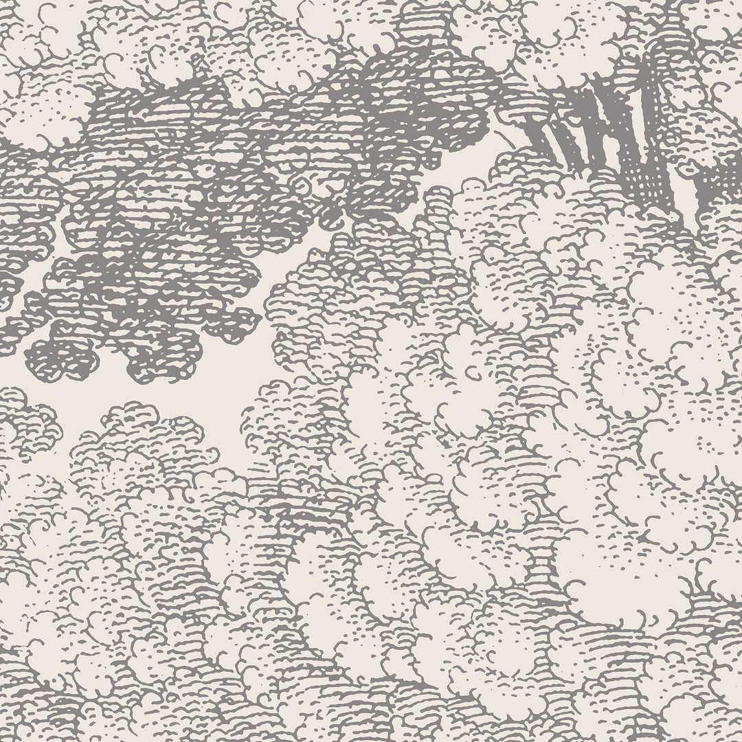 Mineral Spring Wall Mural - Slate Gray
