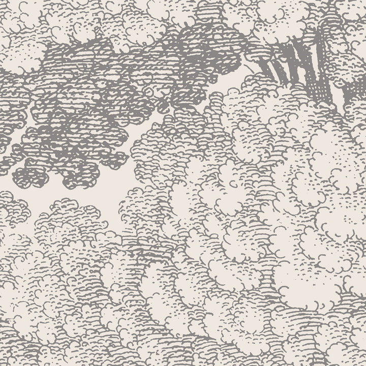 Mineral Spring Wall Mural - Slate Gray