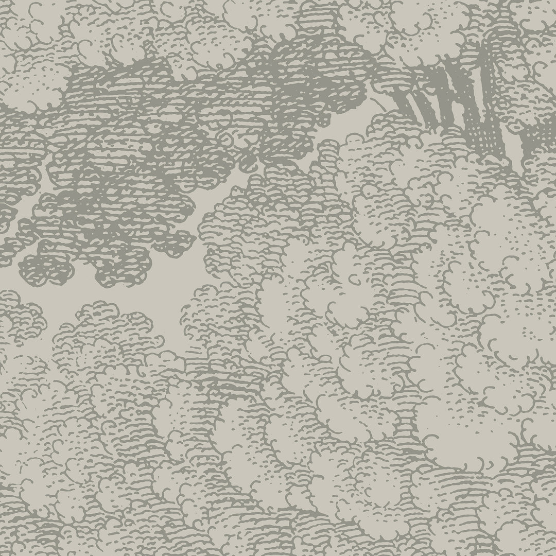Mineral Spring Wall Mural - Walnut