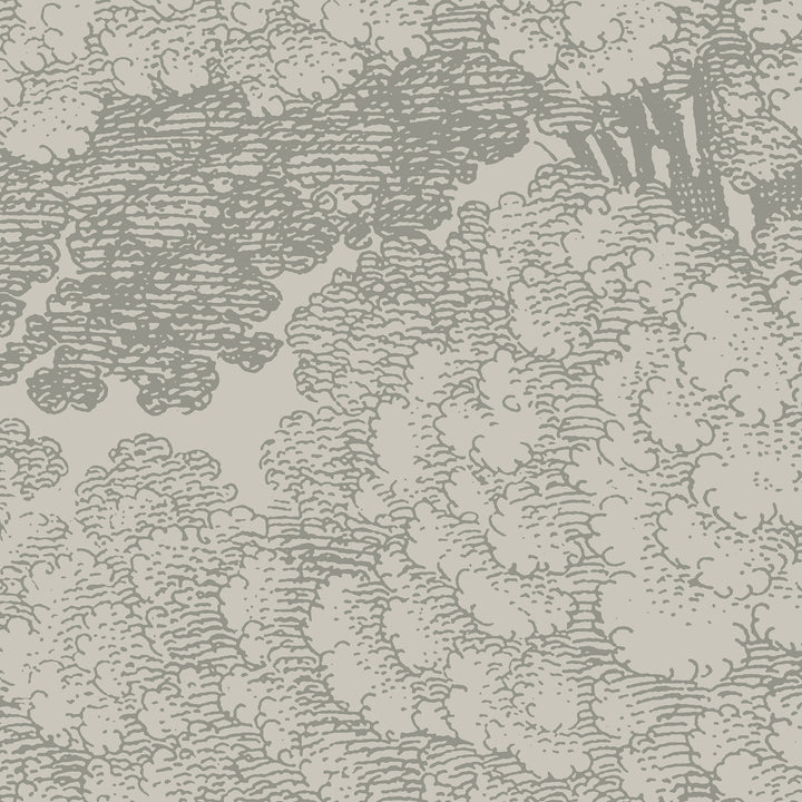 Mineral Spring Wall Mural - Walnut