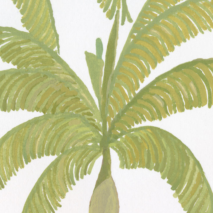 Palm Line Wall Mural - Daylight