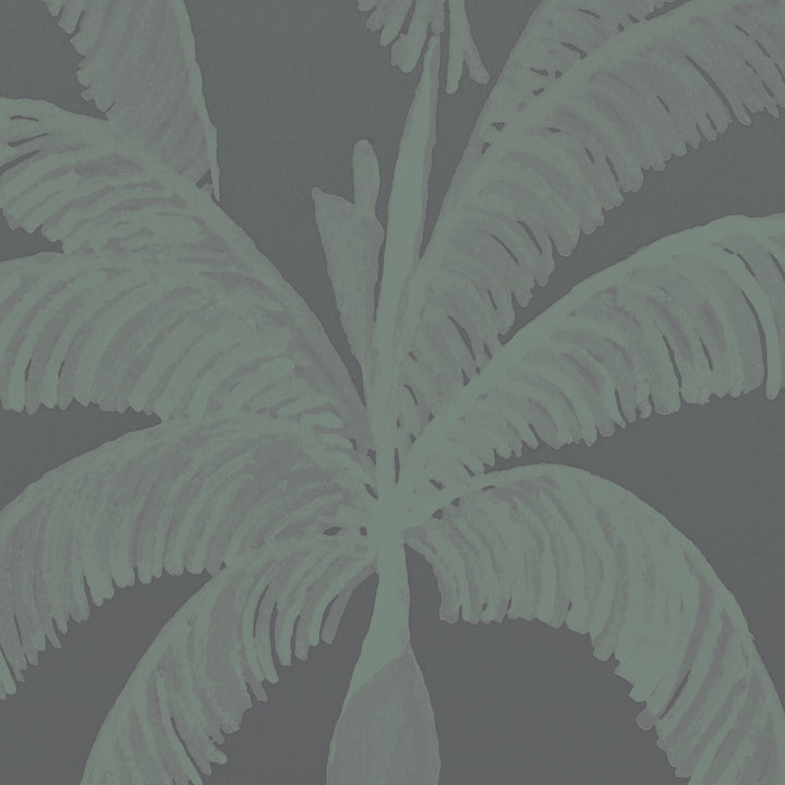 Palm Line Wall Mural - Midnight Swim