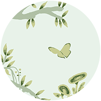 Porcelain Grove Wall Mural - Quiet Blue