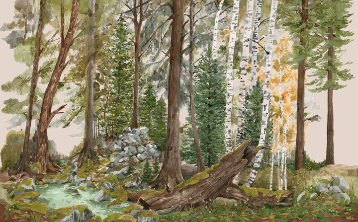 Rocky Mountain Forest Wall Mural - Early Fall