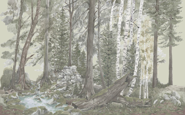 Rocky Mountain Forest Wall Mural - Morning Fog