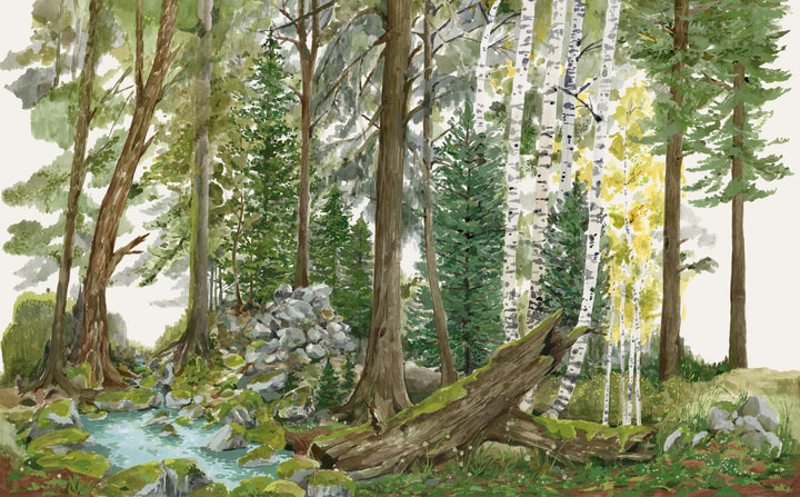 Rocky Mountain Forest Wall Mural - Spring