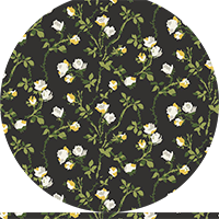 Rose Thorns - Soot Black Floral Wallpaper