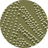 Shagreen Waves Wall Mural - Olive