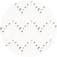 Snow Polo Wallpaper by Gray Malin