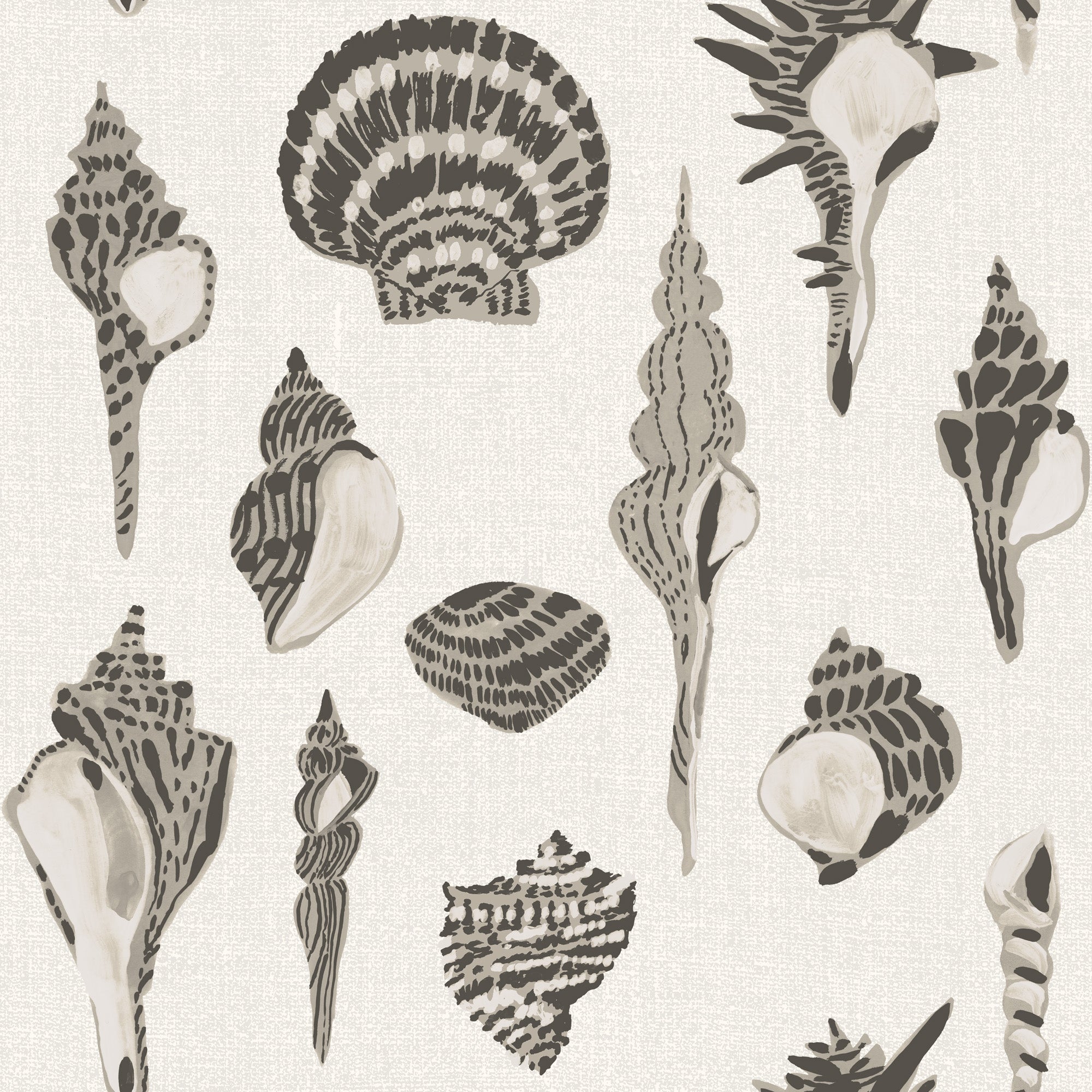 Sullivan’s Island Shells - Dune Veil Beige by Megan Molton - Mitchell Black