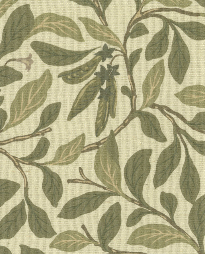 Leaf And Pod Taupe Green Grasscloth