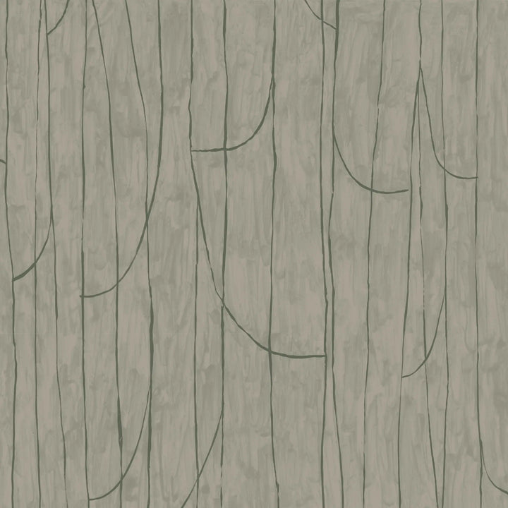 Lingering Lines - Green Taupe Wallpaper