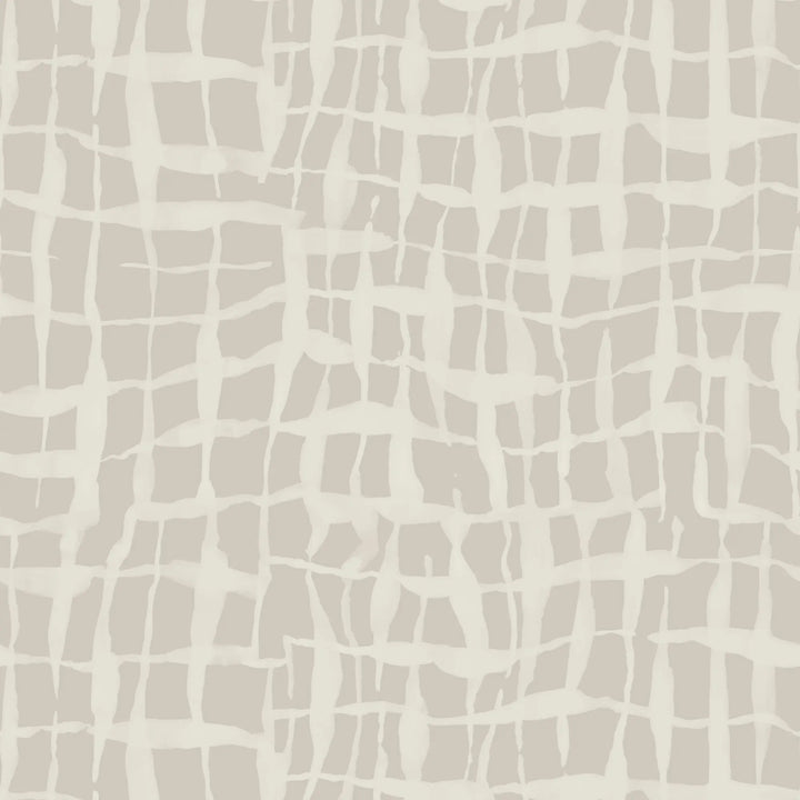 Net - Shell Wallpaper